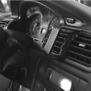 PEUGEOT 406 Auto Handyhalter