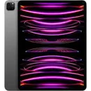 APPLE iPad Pro 12.9 2022 Zubehör A2436 A2764 A2437 A2766