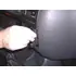 Brodit ProClip f�r Ford Puma, ab Bj. 2002 bis 2009, Abbildung 1