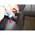 Brodit ProClip f�r Renault Scenic, ab Bj. 2004 bis 2009, Abbildung 3