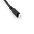 Brodit IP1159, Ersatz Kabel von Apple Lightning Stecker (gerade) auf USB-C Stecker (gerade), Abbildung 1