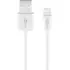 Goobay Ladeger�t 230V f�r APPLE iPhone Xs MAX, inkl. Lightning Daten + Ladekabel, 5W, 2-teilig, White, Abbildung 4