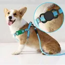 Tech-Protect Smooth H�lle / Hundehalsband- Halterung passend f�r Apple AirTag, black